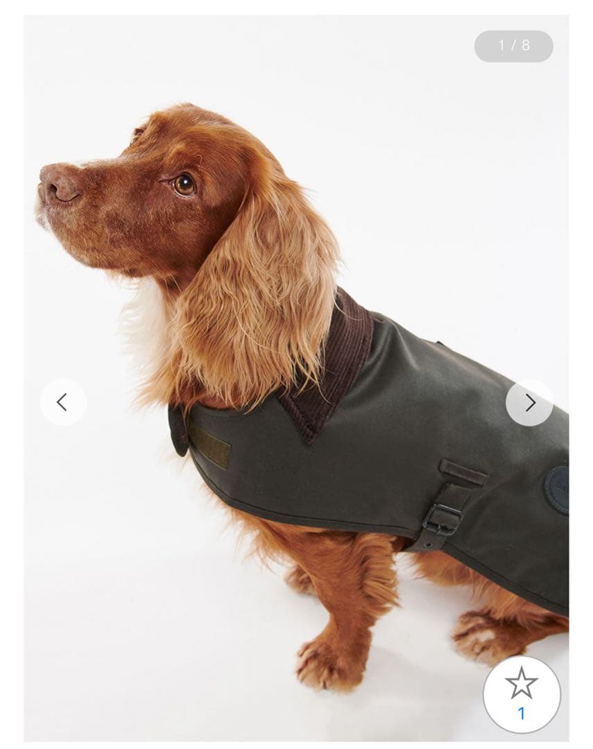 【新品】Barbour バブアー　ワックスコットンドッグコート