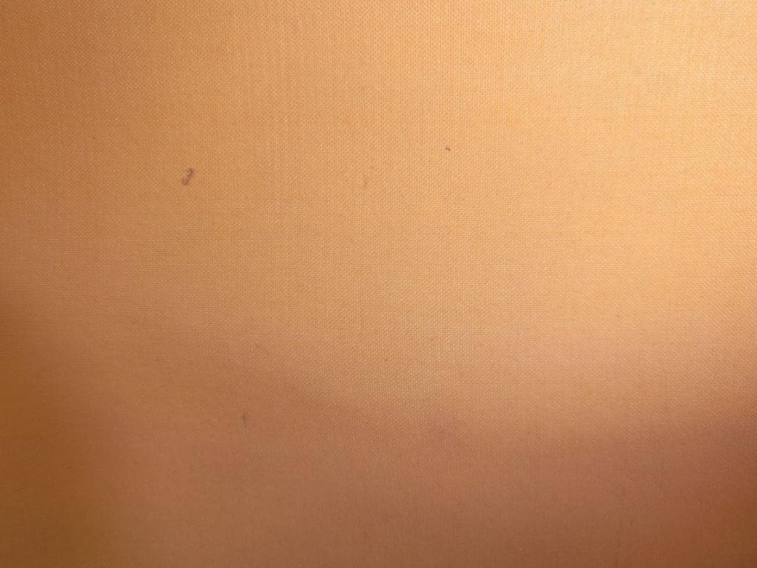 ㊶旭日静波 作者不明 掛け軸