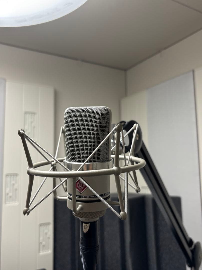 コンデンサーマイク　NEUMANN TLM102 & EA1