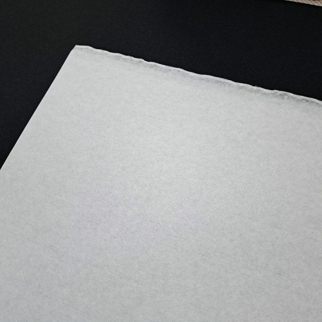 水墨画用紙F8サイズ【墨付絶佳】40枚×22セット