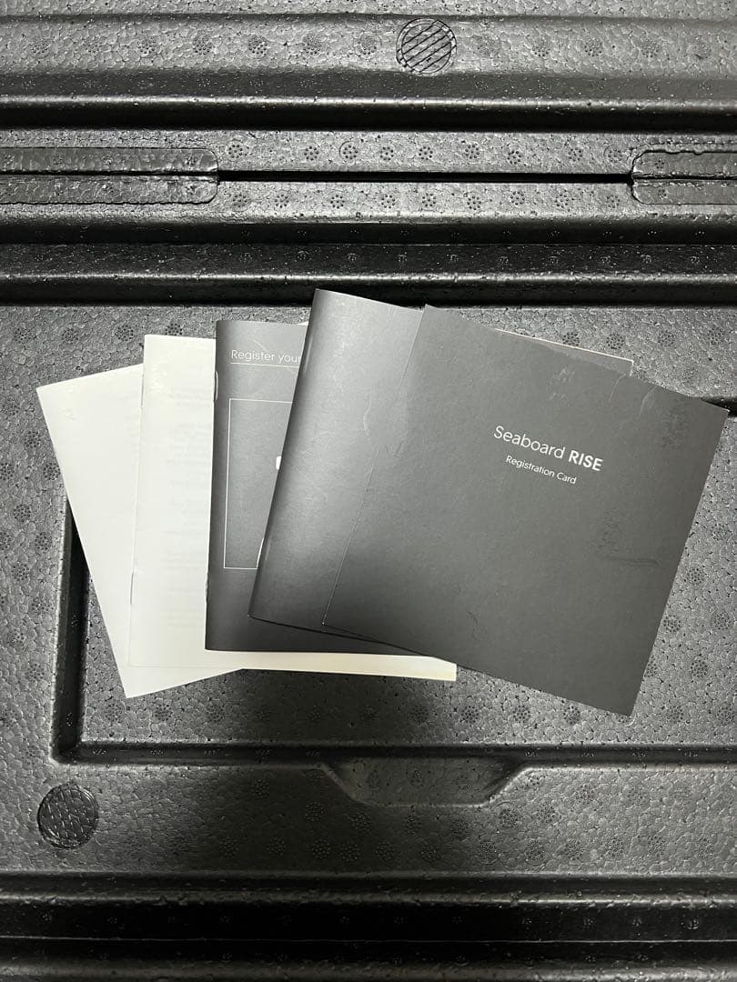 DTM・DAW ROLI Seaboard RISE 25