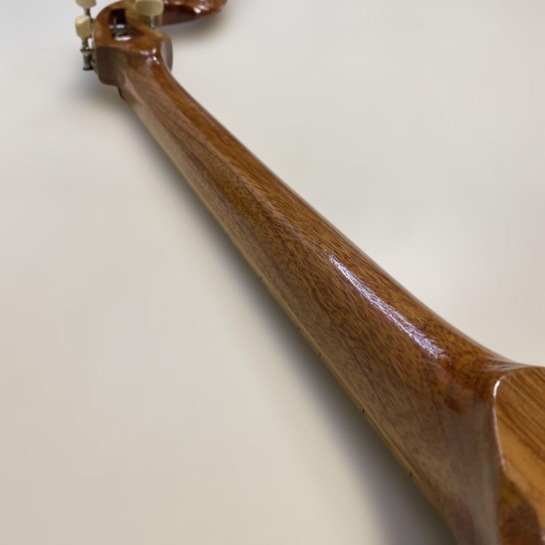 タイ 伝統楽器 エレクトリック ピン 三弦 バンコク 民俗楽器 Thai 未使用