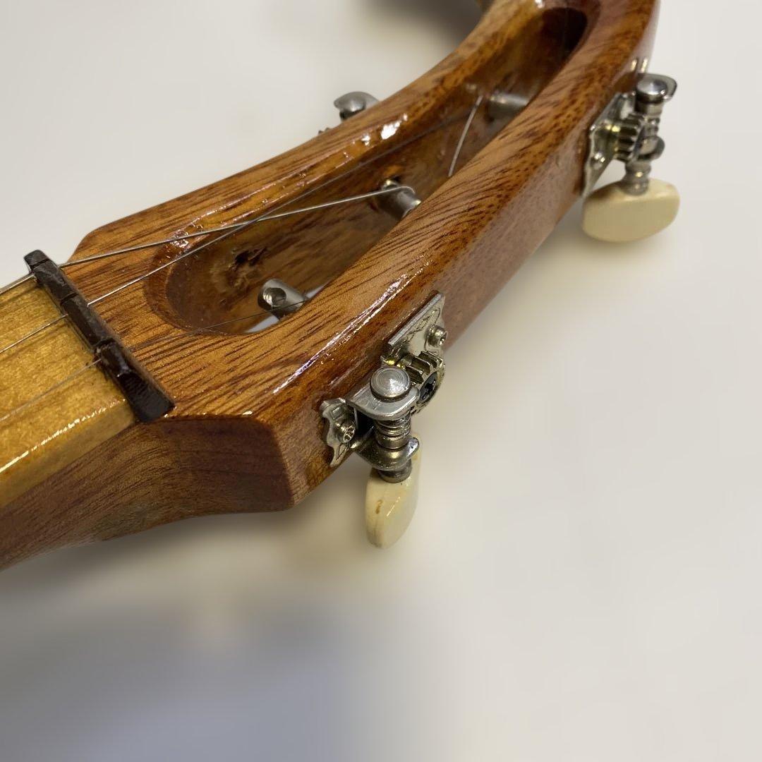 タイ 伝統楽器 エレクトリック ピン 三弦 バンコク 民俗楽器 Thai 未使用