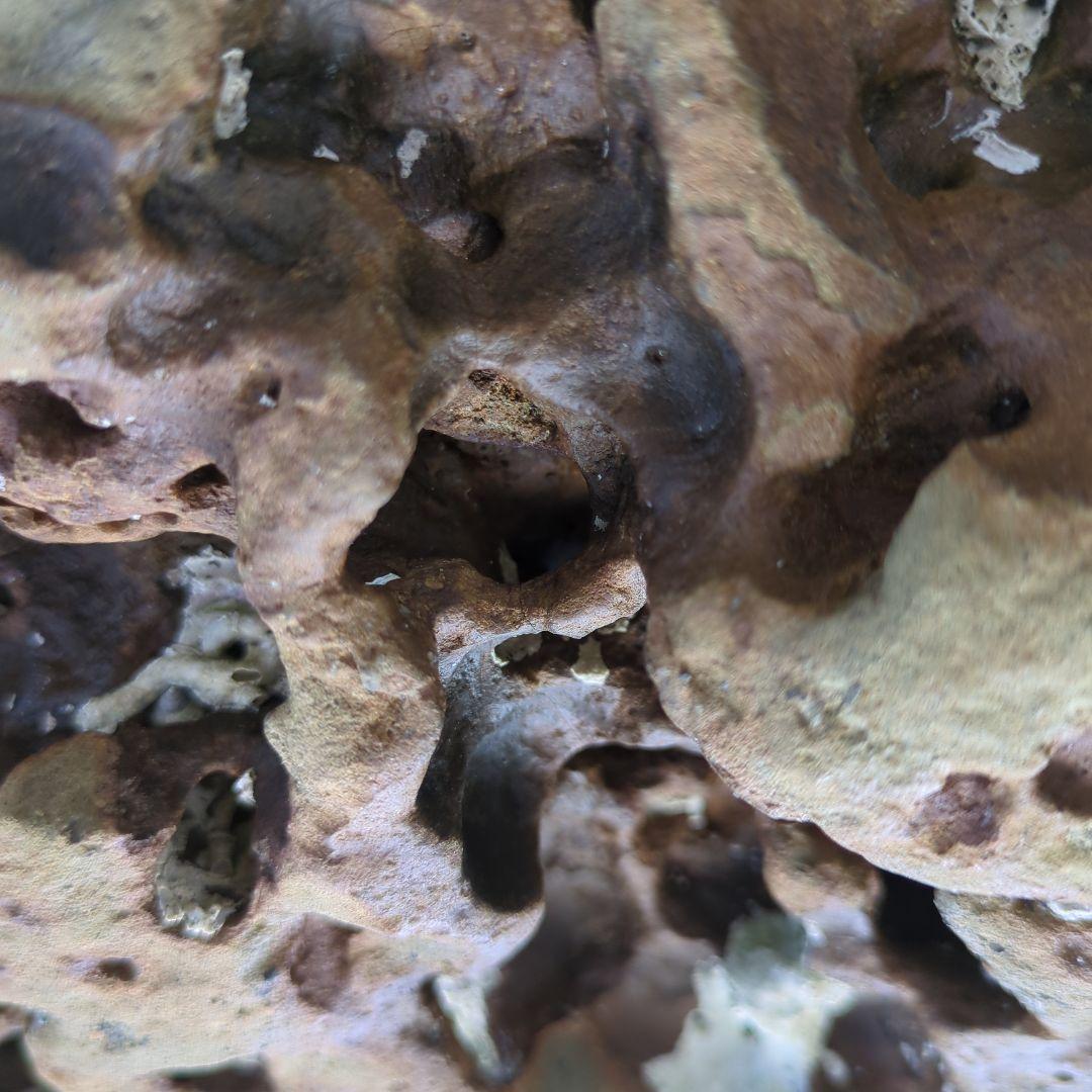 送料無料　アクアリウム　水槽用石セット　メダカ熱帯魚