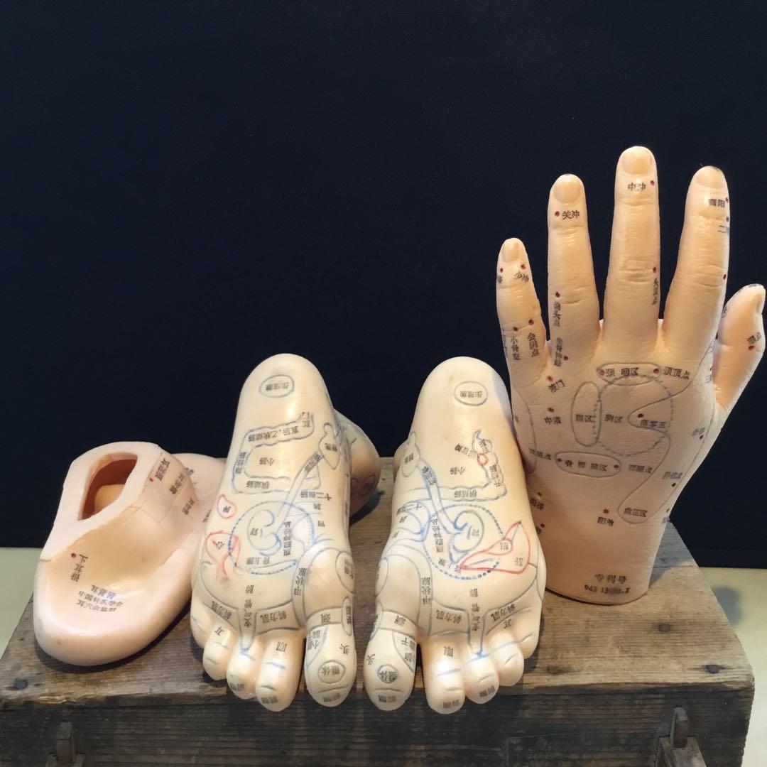 鍼灸経穴人体模型　コンプリート　中国鍼灸男性人体模型　耳　足　手