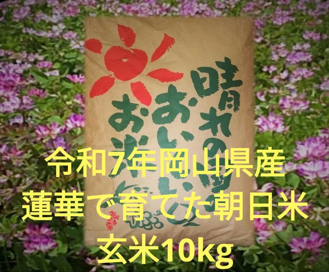 令和7年岡山県産　朝日米 玄米10キロ