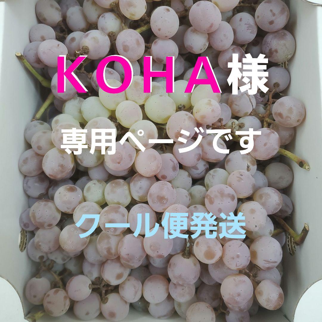 0️⃣ ＫＯＨＡページクール便発送