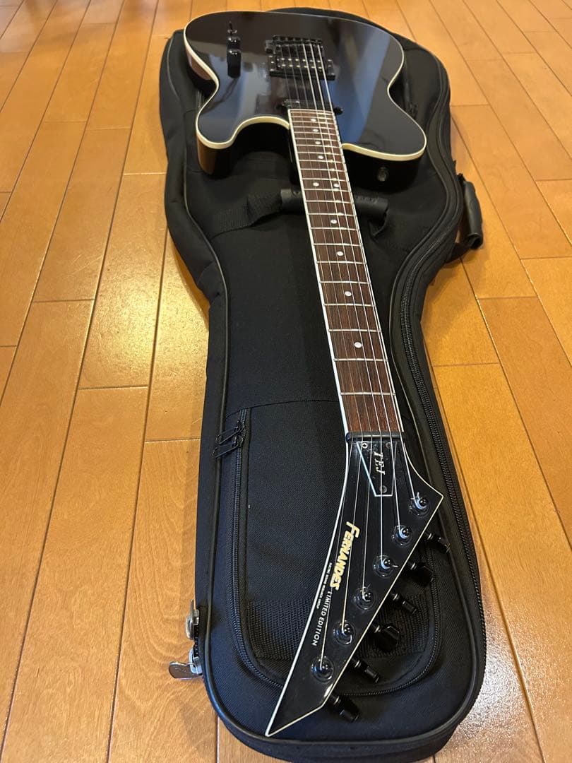 フェルナンデス TEJ サスティナー搭載