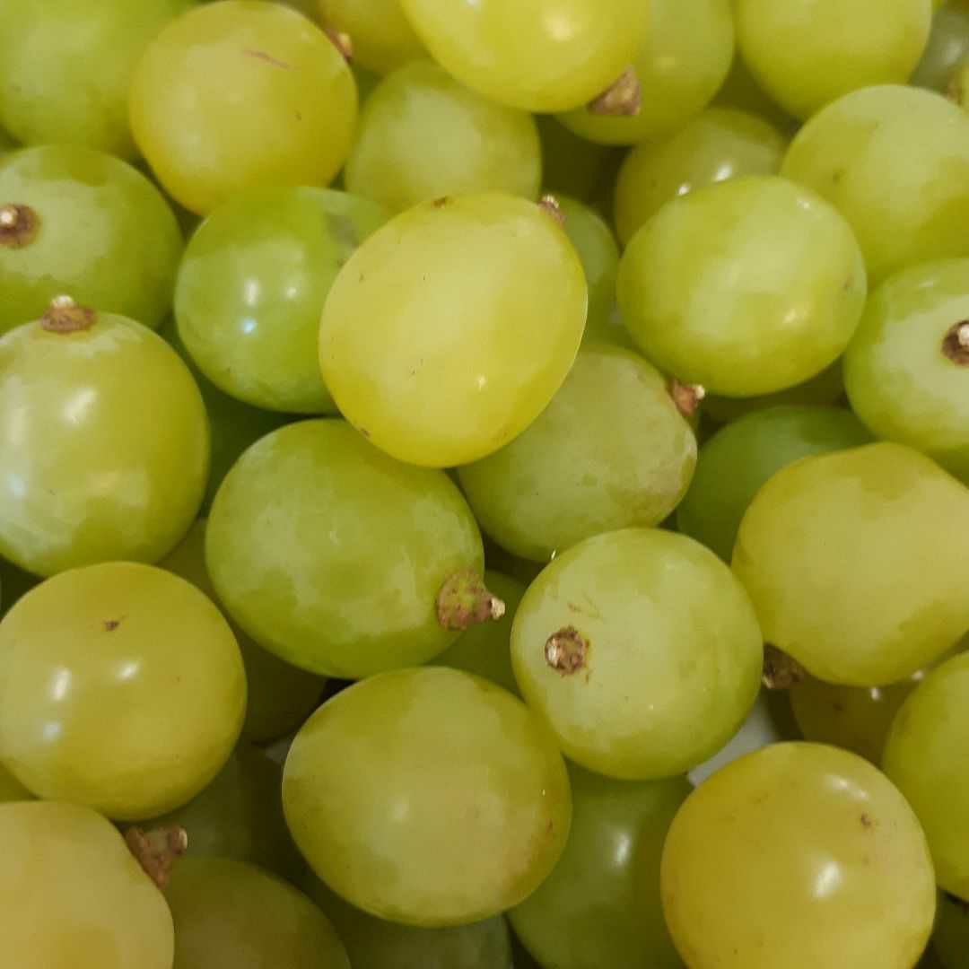 完熟多めのシャインマスカット徳用5.5キロ入りの粒バック入りになります。