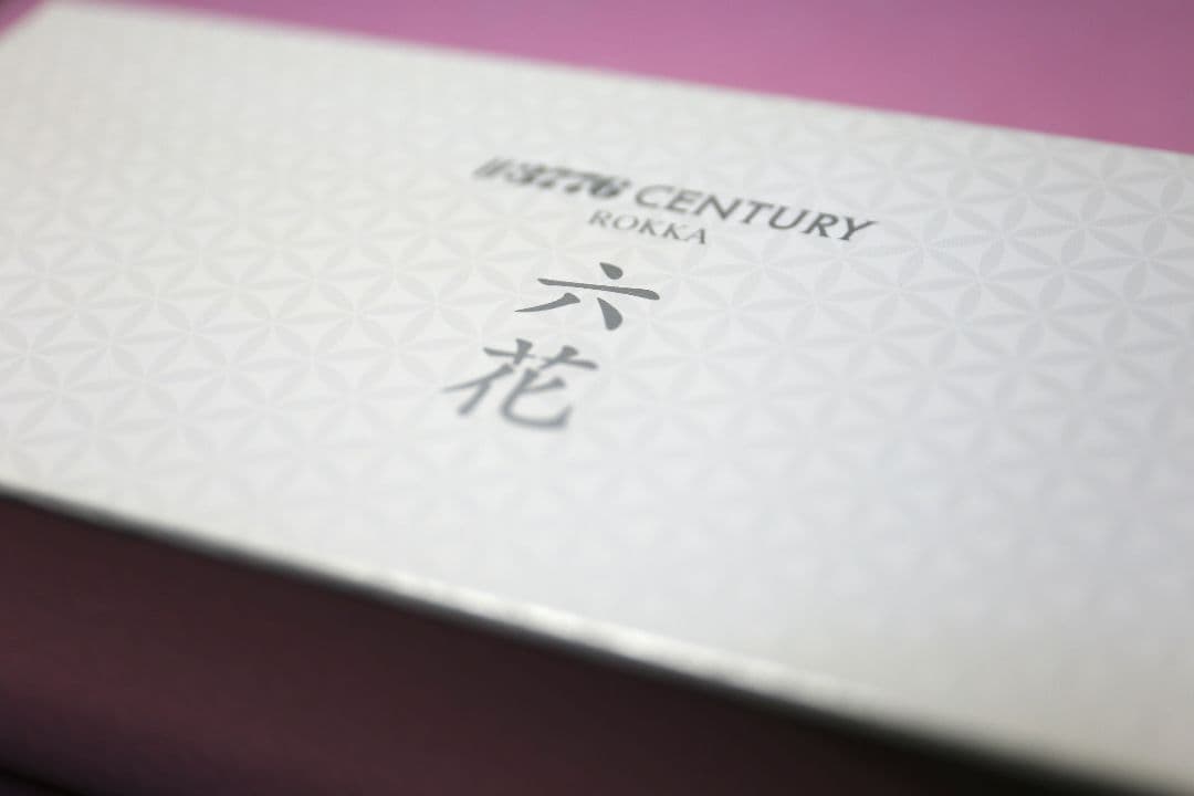 【限定】万年筆 プラチナ #3776 センチュリー「六花」SM（中軟）おまけ付き