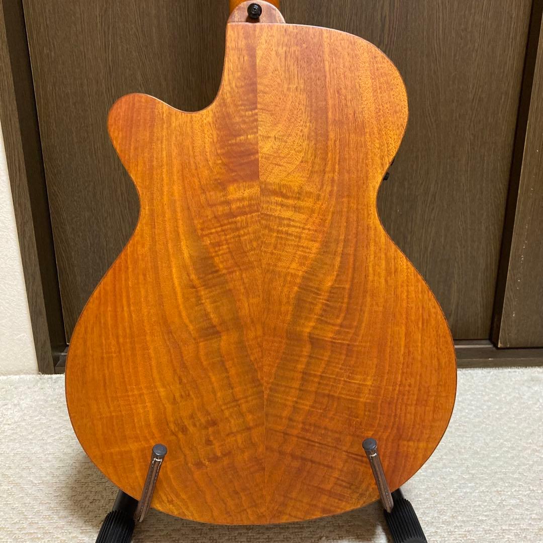 Aria FET-F2 STBR エレアコ