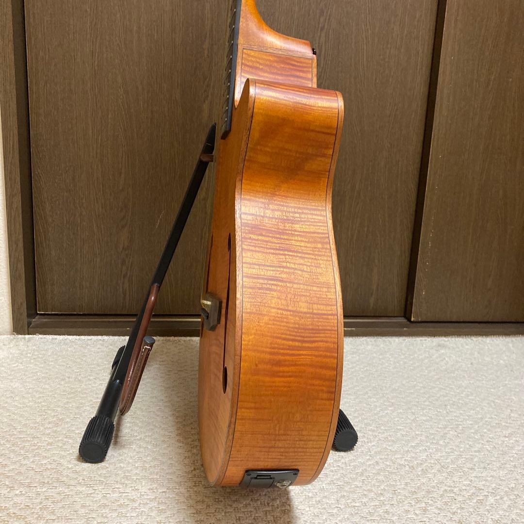 Aria FET-F2 STBR エレアコ