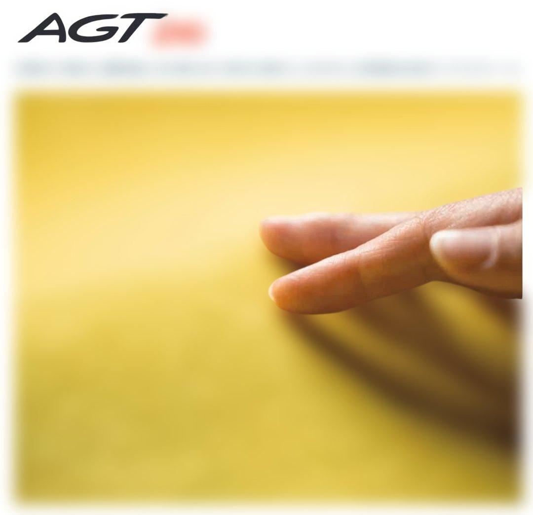 BEWET　AGTitan210 角さま　専用