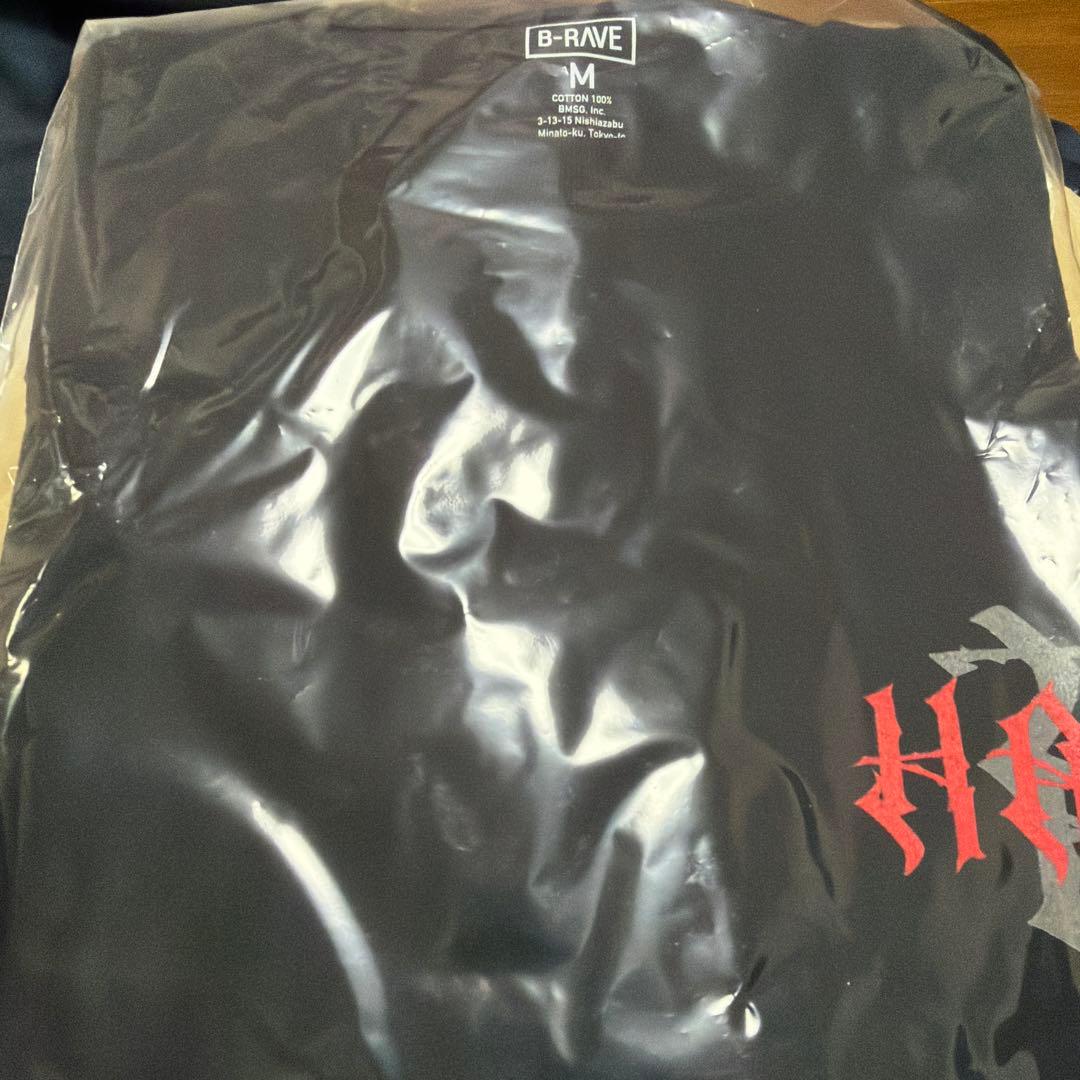 HANA ロゴTシャツ　新品未使用　Mサイズ