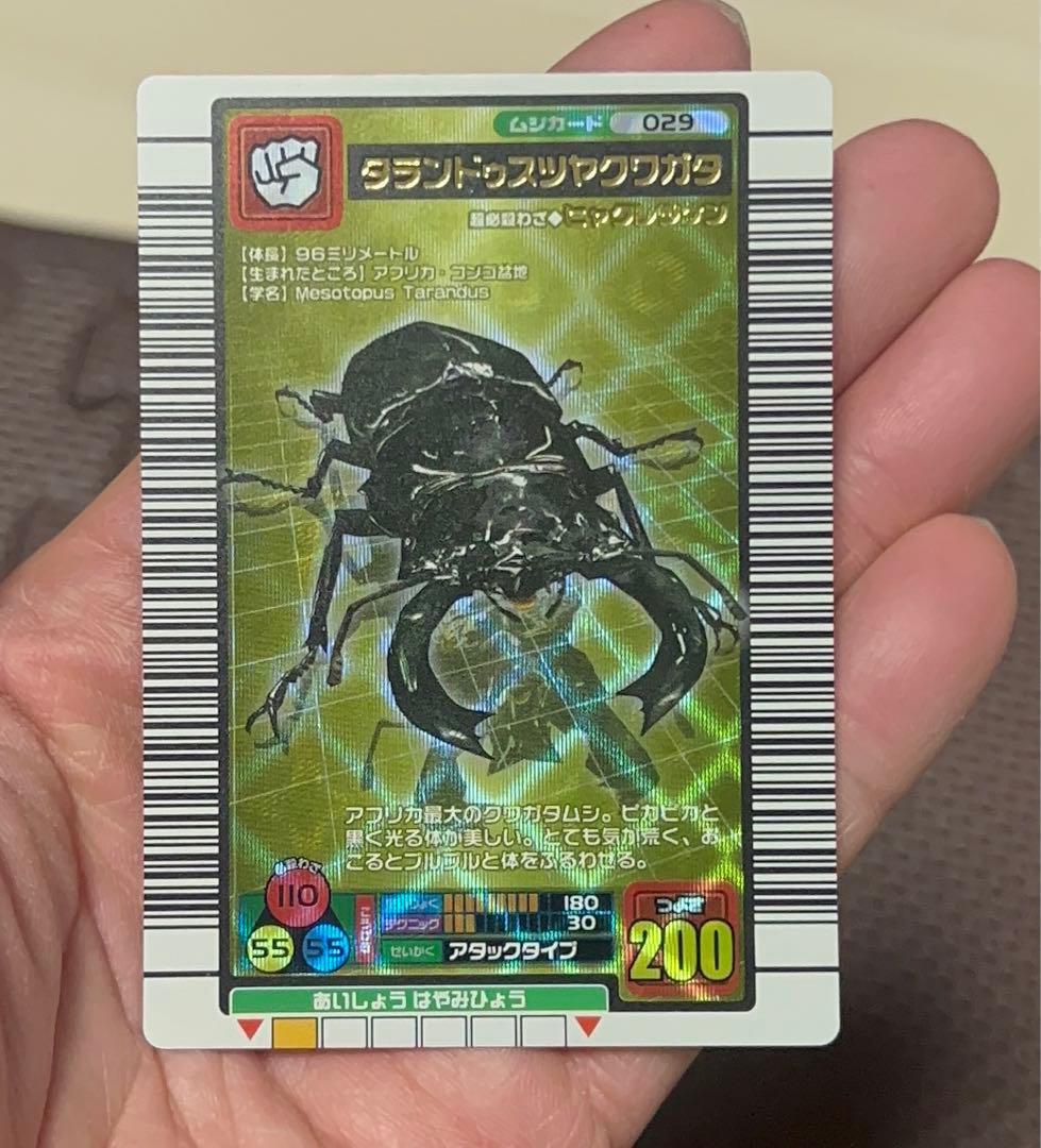 ムシキング　マンティブラリスフタマクワガタ　タランドゥスツヤクワガタ　セット