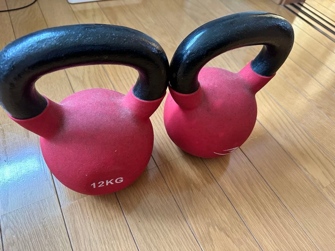 ケトルベル 12kg2個SET教本つきHALEO⭐︎LYFT