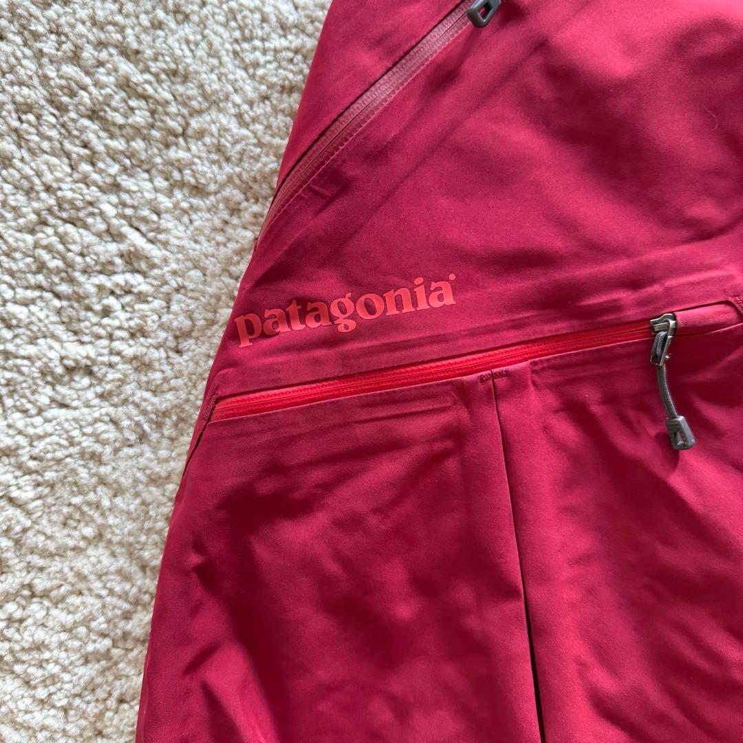 Patagonia スキーパンツ　メンズM