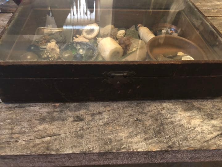 ブンダーカマー✴︎ 蒐集箱 ✴︎ジョセフ コーネル