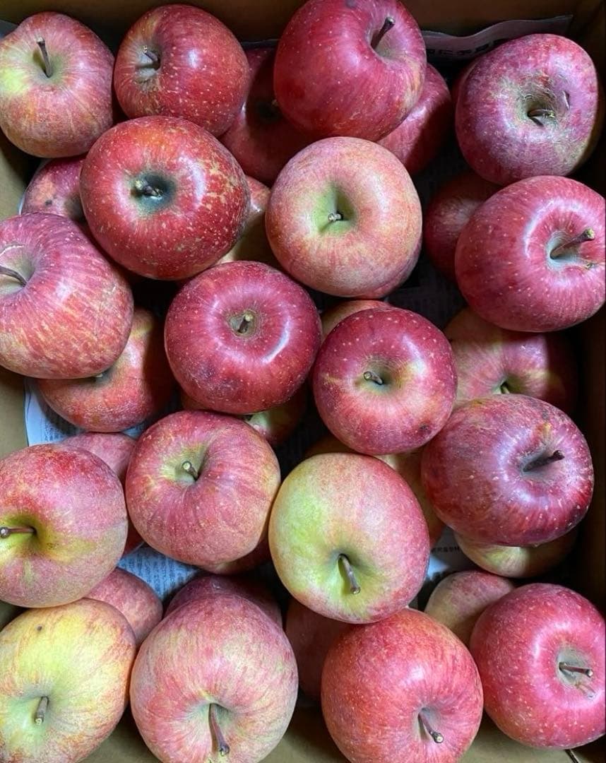 piyo　リンゴ詰め合わせ　20kg