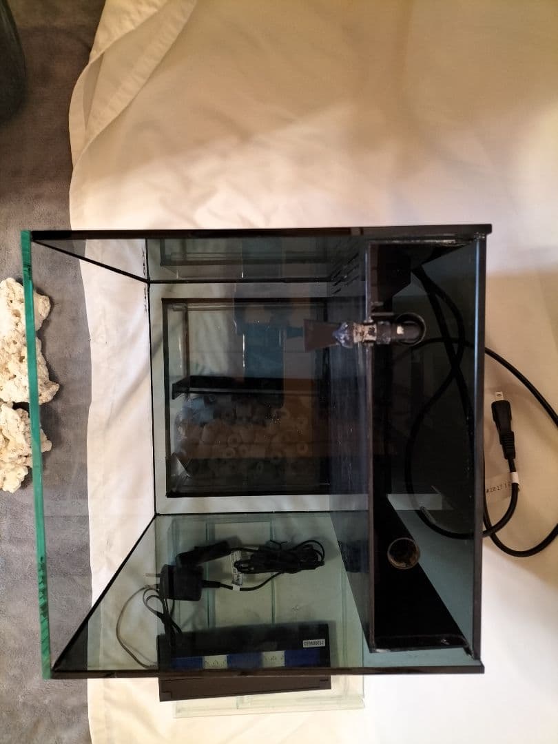 小型　オーバーフロー水槽　水槽　セット　海水魚　淡水魚　ガラス