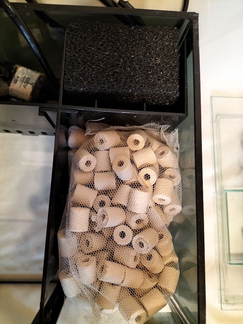 小型　オーバーフロー水槽　水槽　セット　海水魚　淡水魚　ガラス