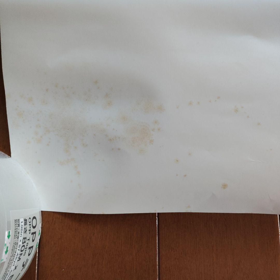 エヴァンゲリオン　鋼鉄のガールフレンド　エヴァと愉快な仲間たち　ポスターまとめ売