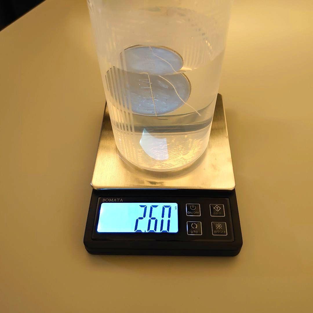 中華民国開国記念幣 孫文 壹圓銀貨 比重約10.2〜10.3 貨幣 大型銀貨