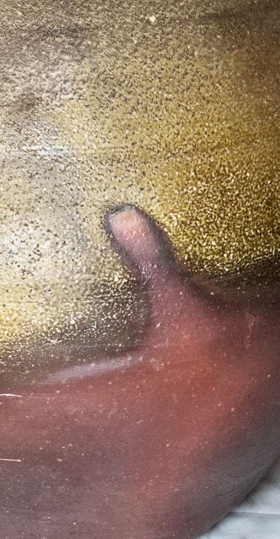 備前焼人間国宝藤原雄 備前大壺 展覧会図録・美術陶芸本11冊に所載の代表作