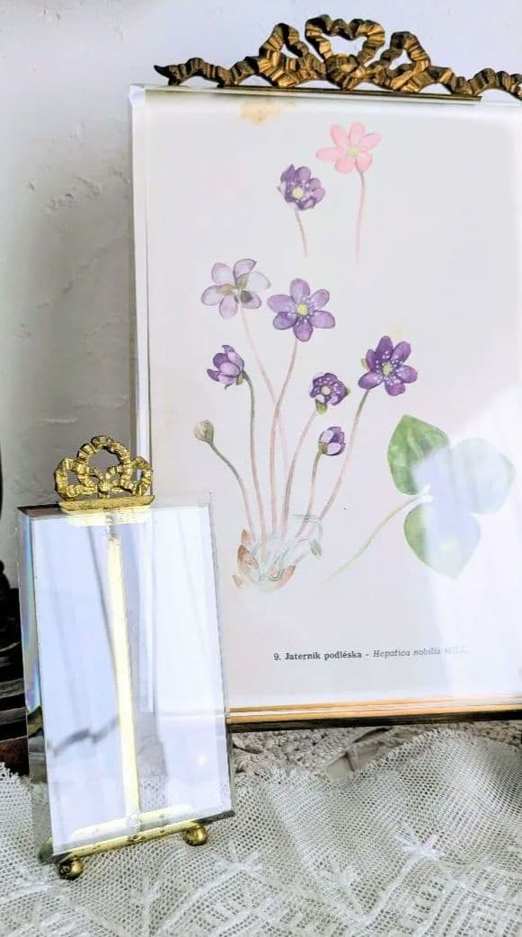 フランス 大きなガラス フォトフレーム ベベルガラス リボン装飾