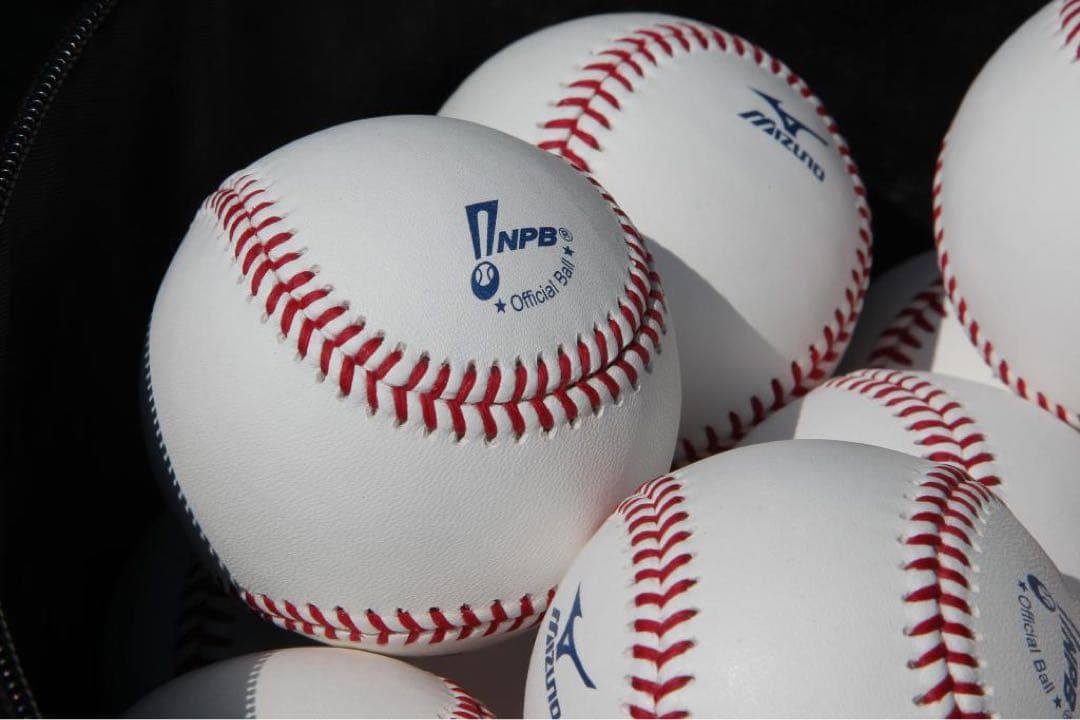 NPB公式球1ダース