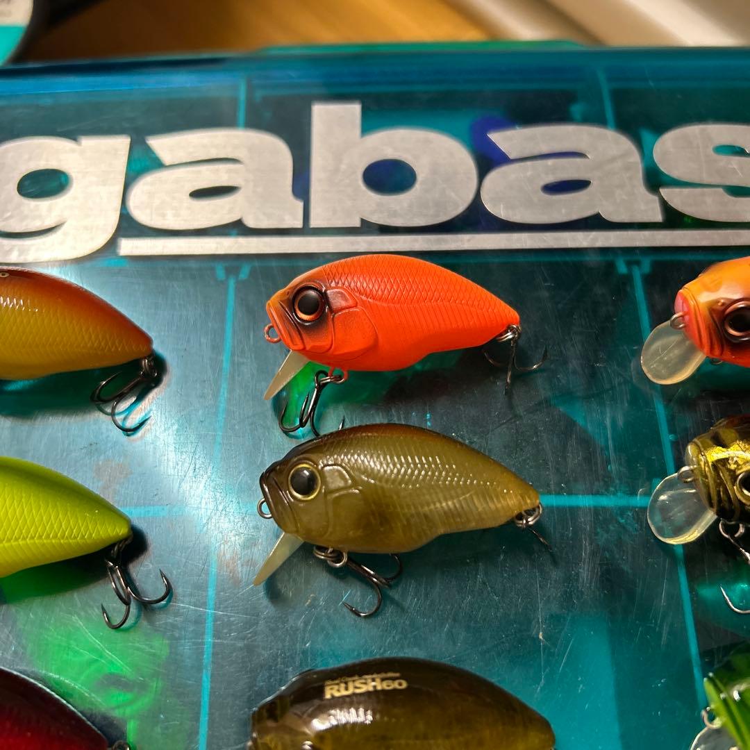 インキュベーター RUSH ラッシュ 60 DROP ドロップ 75