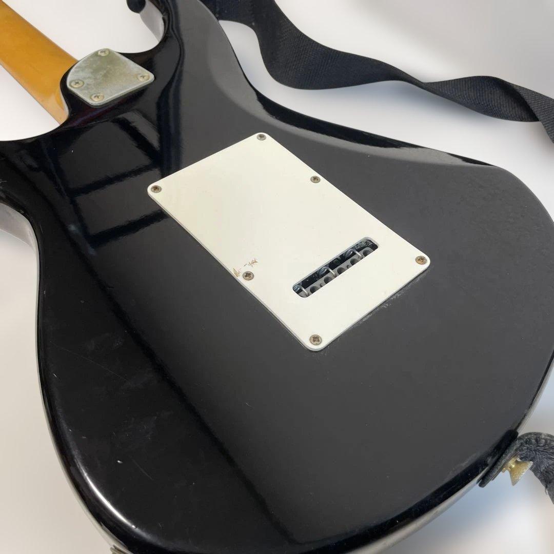 Aria Pro II Wiper 2 VIPER series ブラック