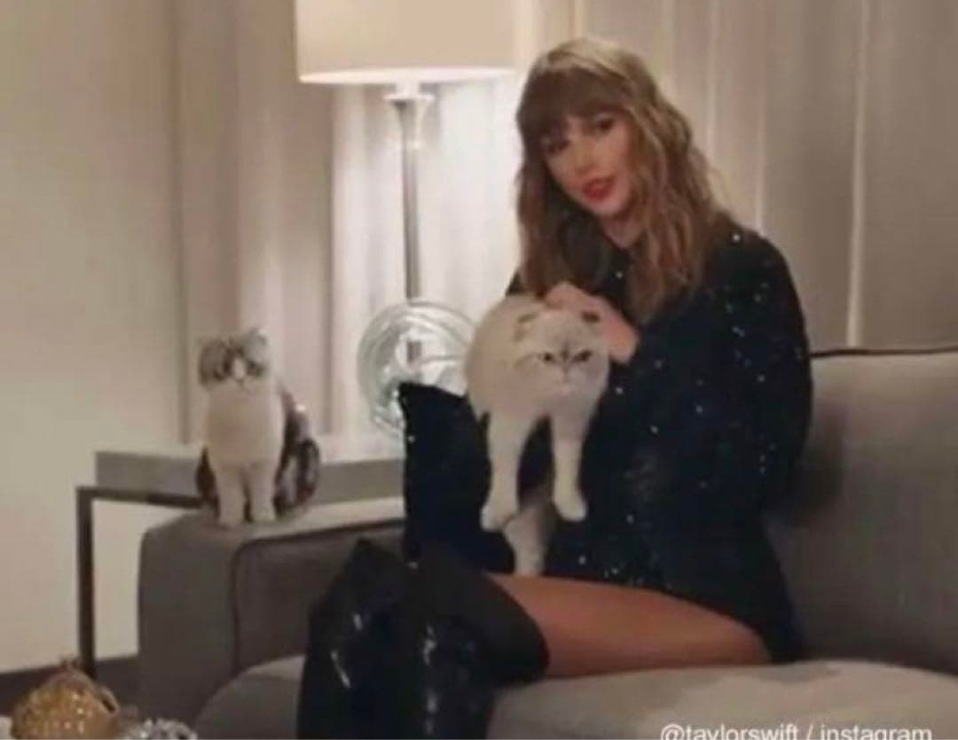 テイラースウィフト Taylor Swift 公式グッズ シーツ カバー新品