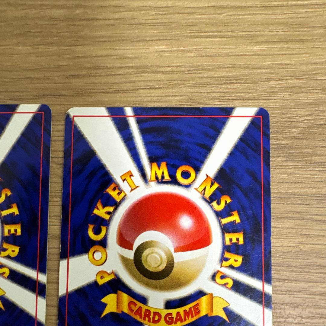 ゼニガメ、カメール イントロパック【5436