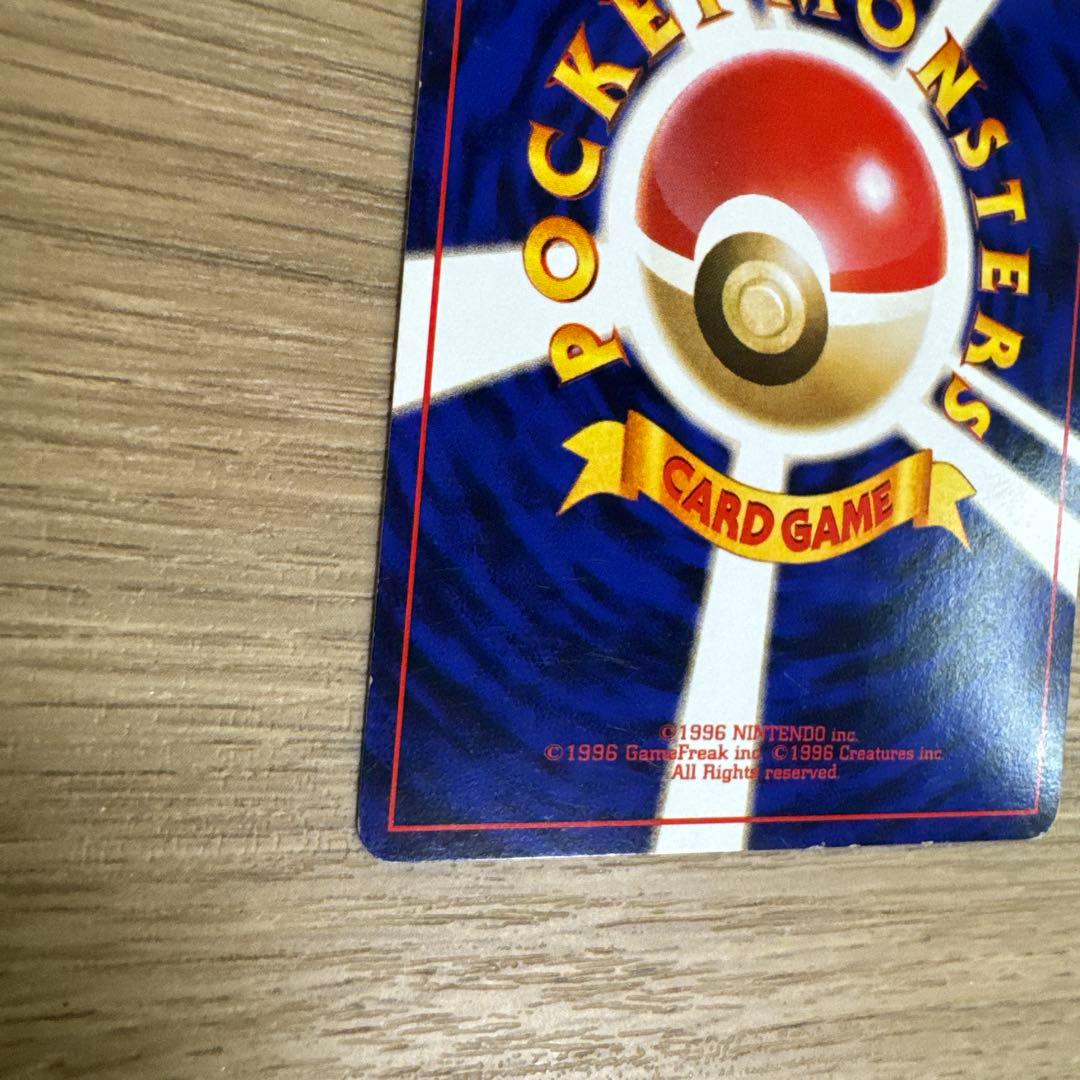 ゼニガメ、カメール イントロパック【5436