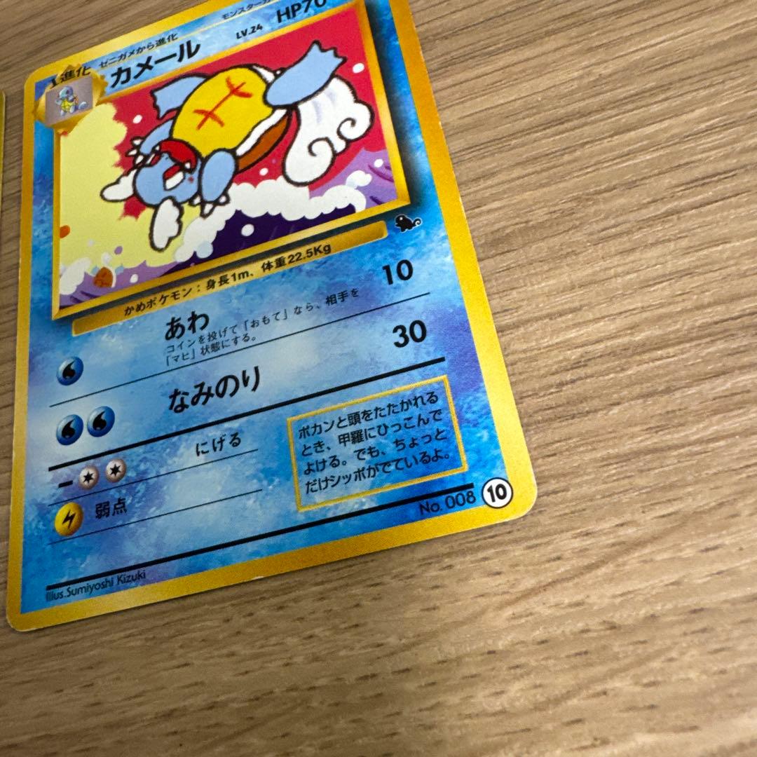 ゼニガメ、カメール イントロパック【5436