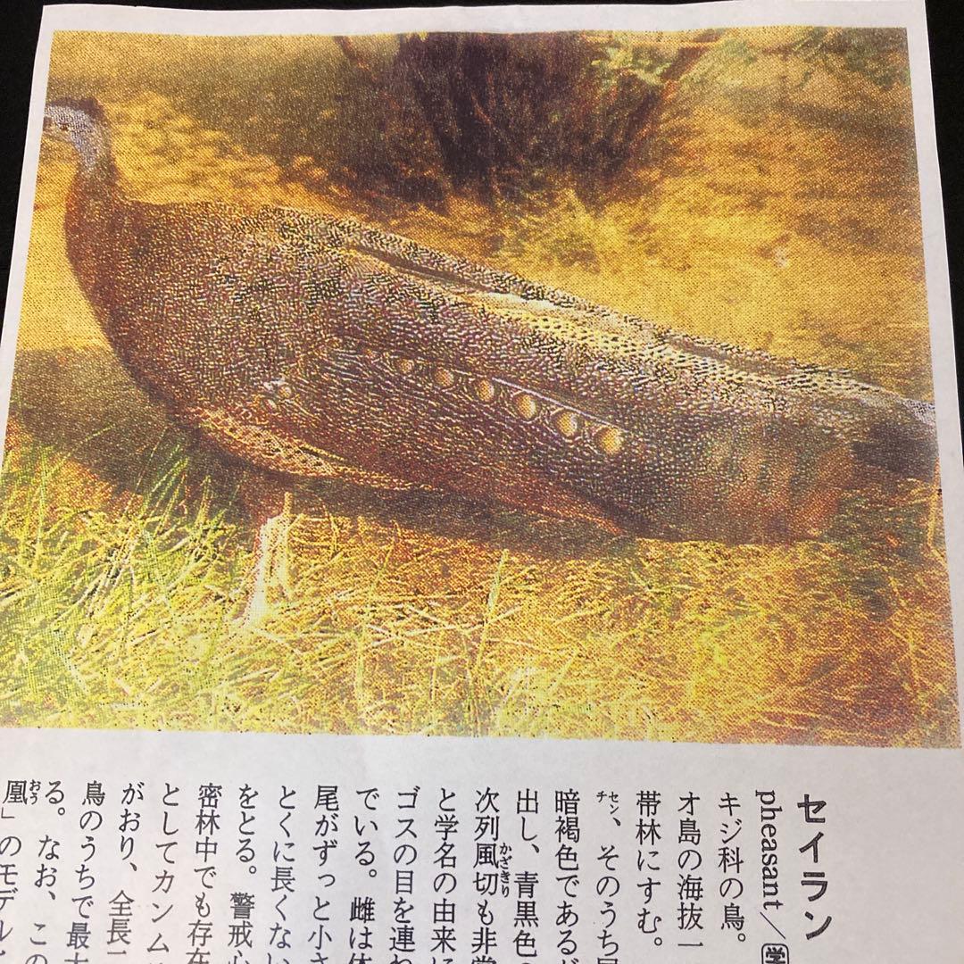 茶道具 羽箒　セイラン　青鸞　炭手前　工芸品