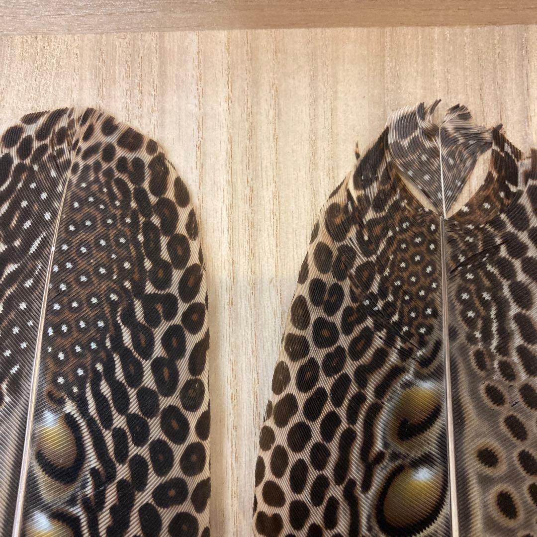 茶道具 羽箒　セイラン　青鸞　炭手前　工芸品