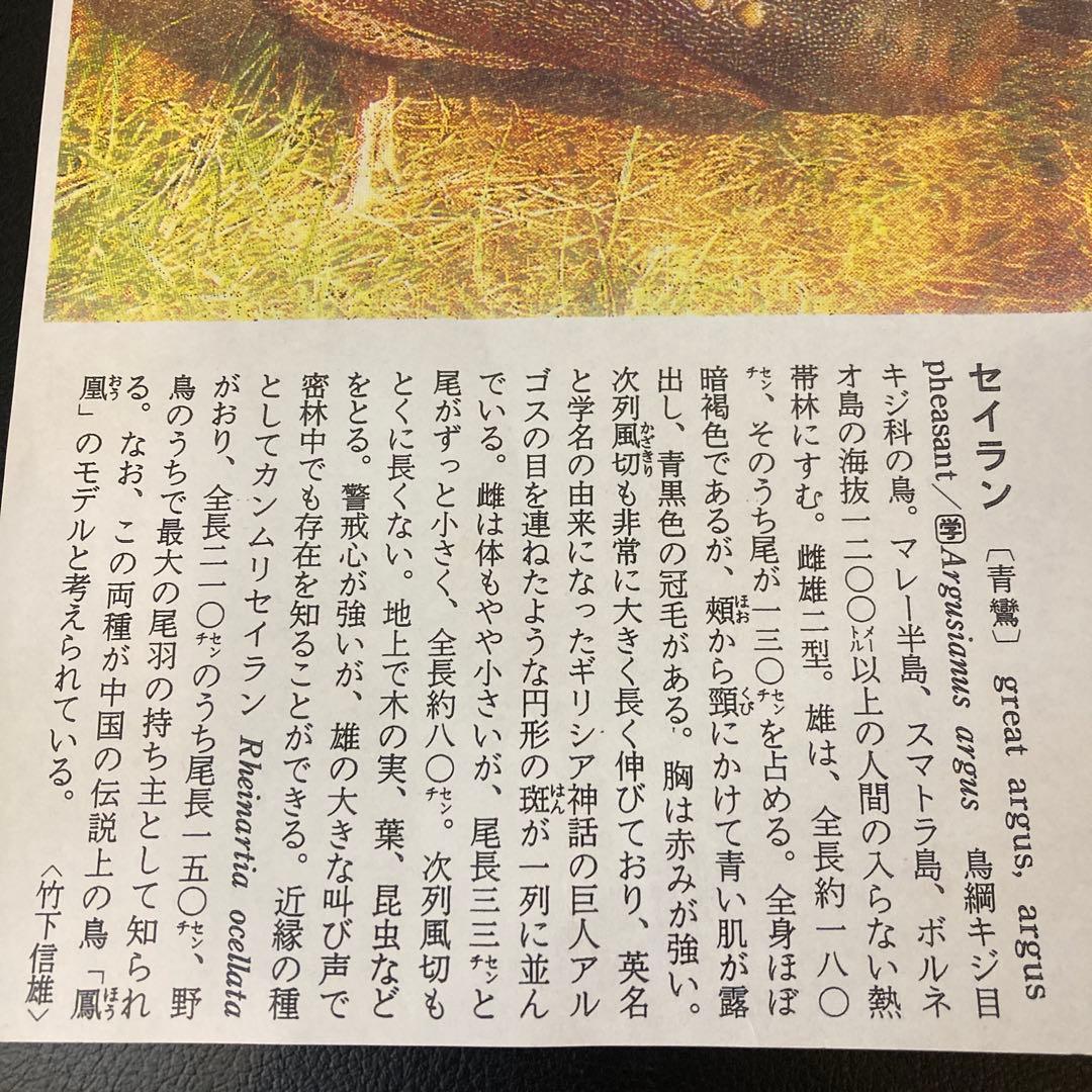 茶道具 羽箒　セイラン　青鸞　炭手前　工芸品