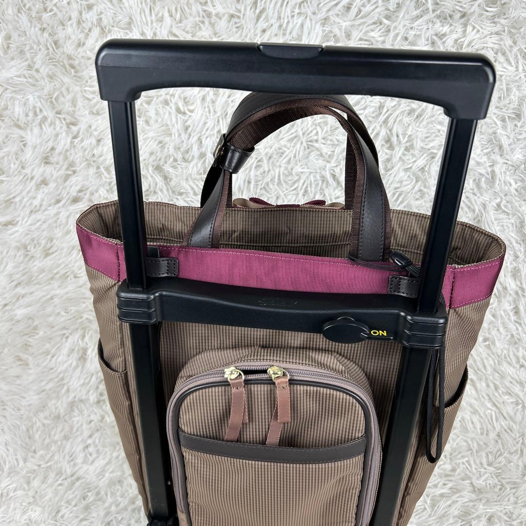 SWANY スワニー キャリーバッグカート　ルバンドミニ　グレージュ　リボン