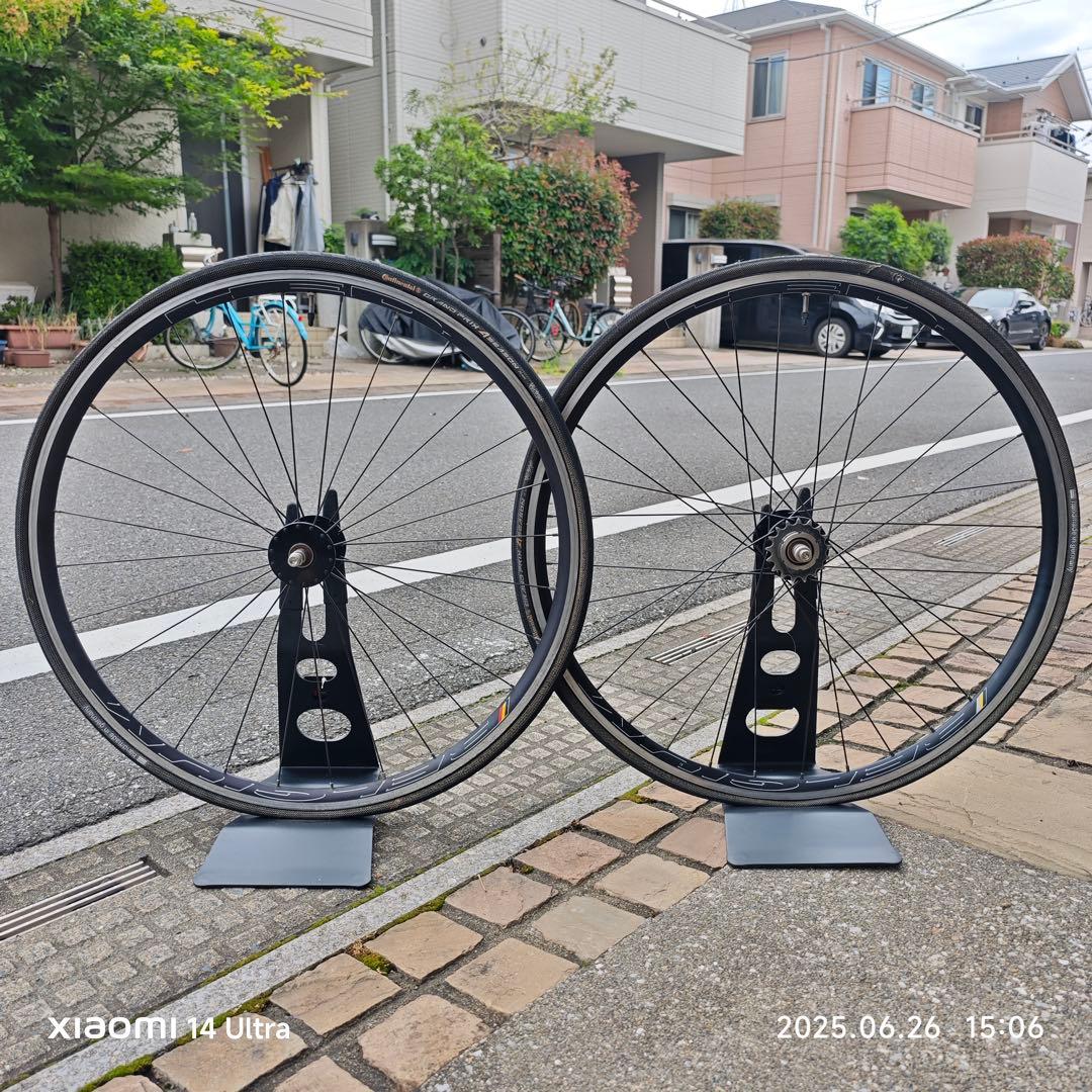 HED. BELGIUM × PHILWOOD HUB