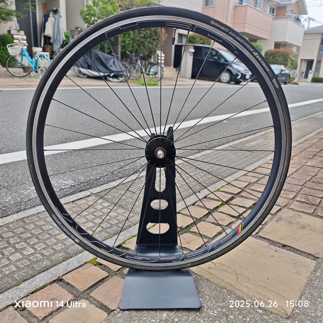 HED. BELGIUM × PHILWOOD HUB