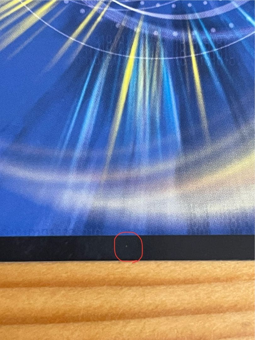 ボルメテウスレインボードラゴン サイン入り