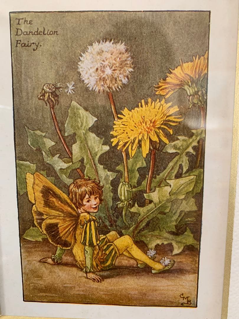 花の妖精春夏秋冬シシリーメアリーバーカーたんぽぽ　絵　オランジュリーコレクション