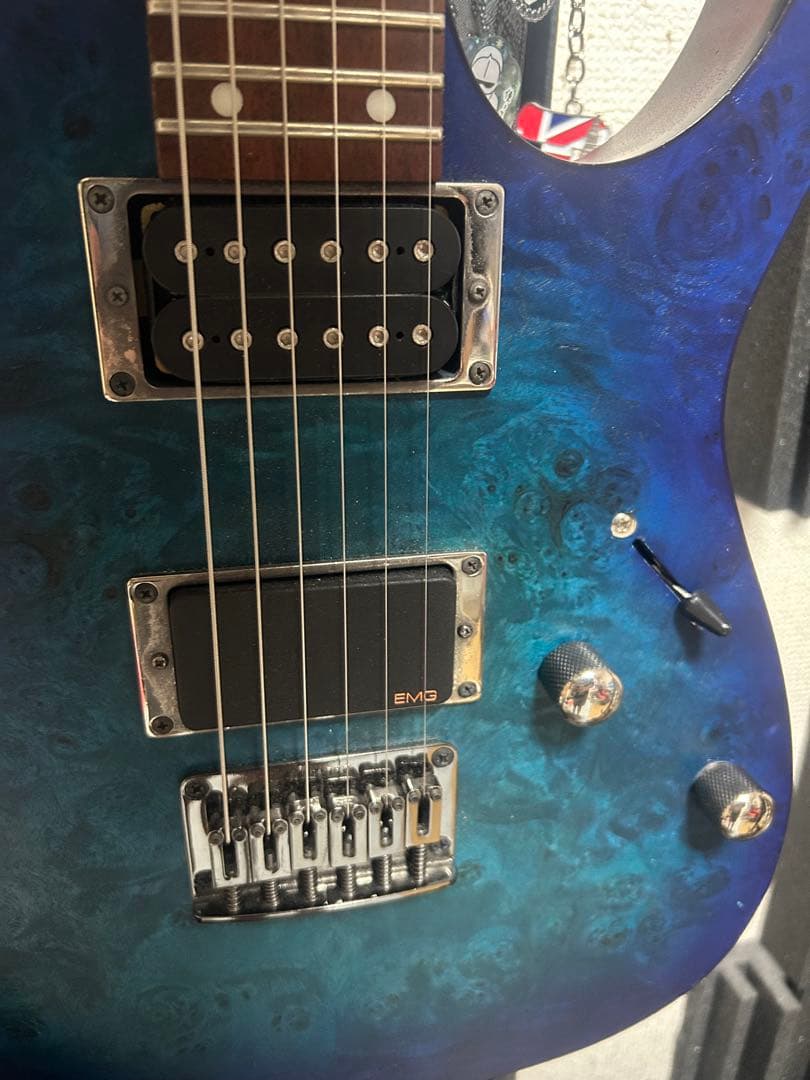 ギター Ibanez RG421PB EMG89