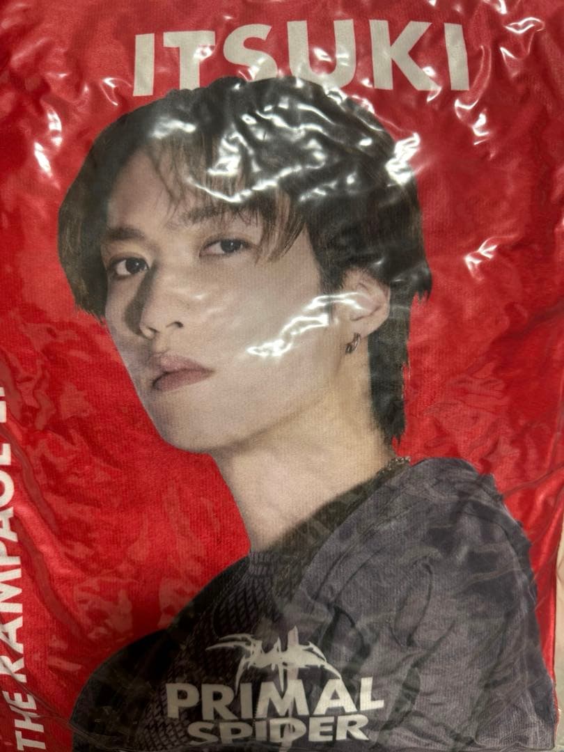 藤原樹 クッション カプセル