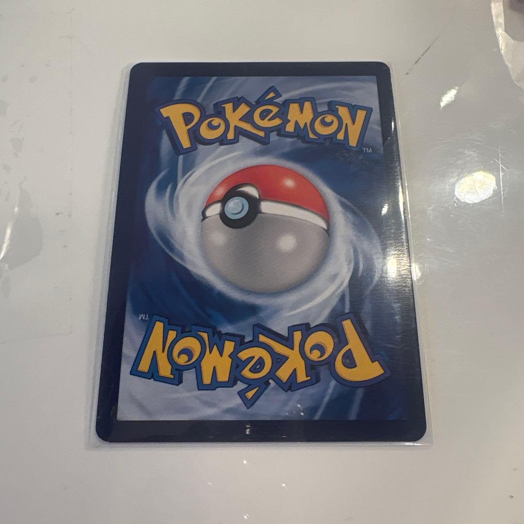 星月夜 イーブイ リザードン ゼニガメ