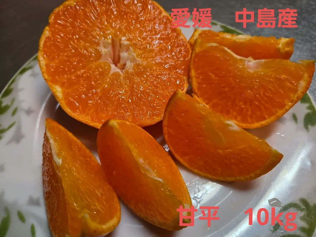 甘平10kg　愛媛　中島産