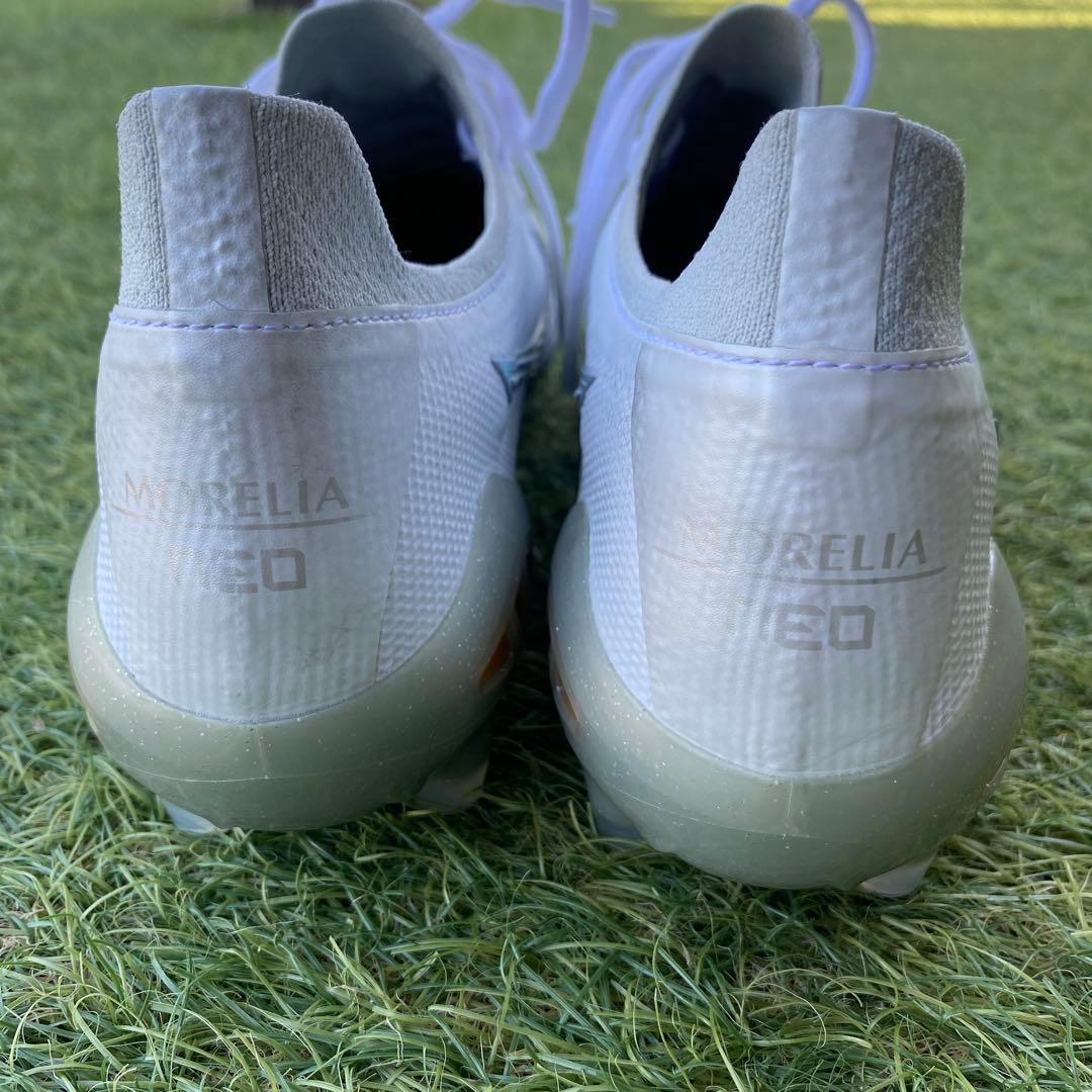 モレリアネオ3βジャパン　　シャイニングカラー