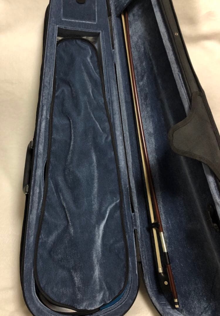 Carlo giordano/カルロジョルダーノ エレキバイオリン EV-202